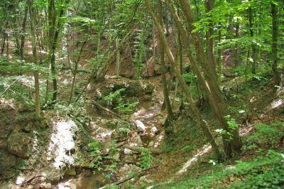 Прикрепленное изображение: IMGP6612.jpg